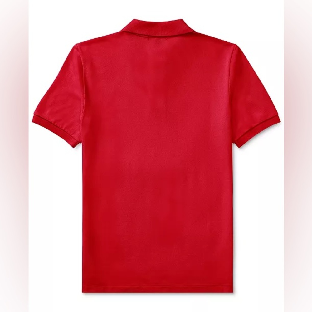 Polo Ralph Lauren Boys Cotton Mesh Logo Polo Shirt, L (12-14) MSRP $50 - Picture 3 of 9
